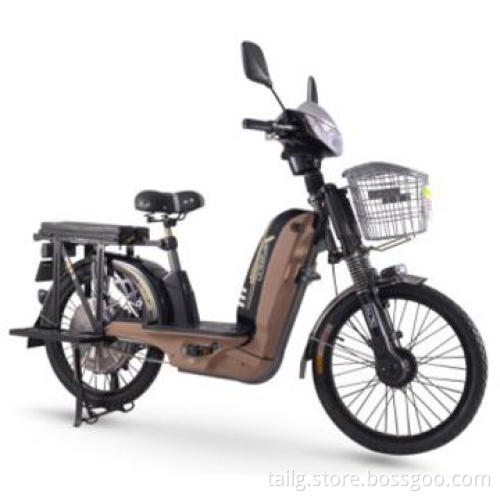 500W Electric Bicycle with Pedal